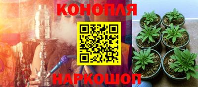 ГАЛЛЮЦИНОГЕННЫЕ ГРИБЫ Бугуруслан