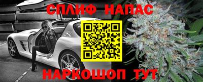 a pvp Будённовск