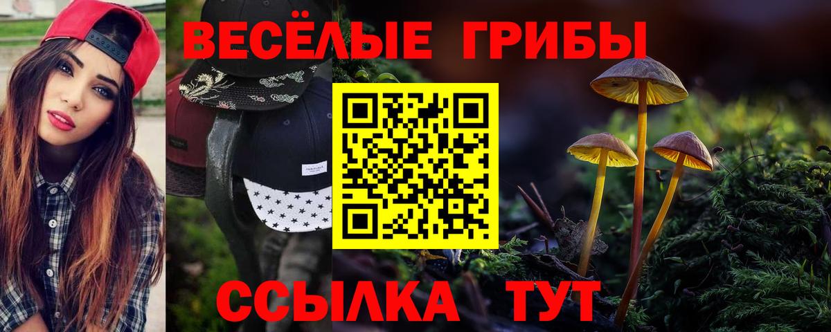 Галлюциногенные грибы MAGIC MUSHROOMS  Вход с VPN  Радужный 